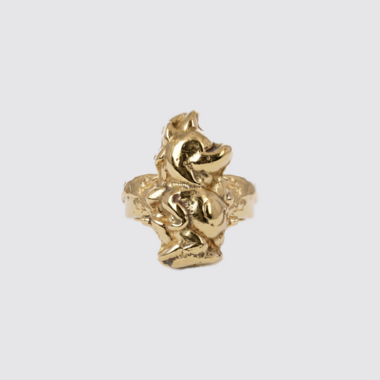 Le petit Dragon